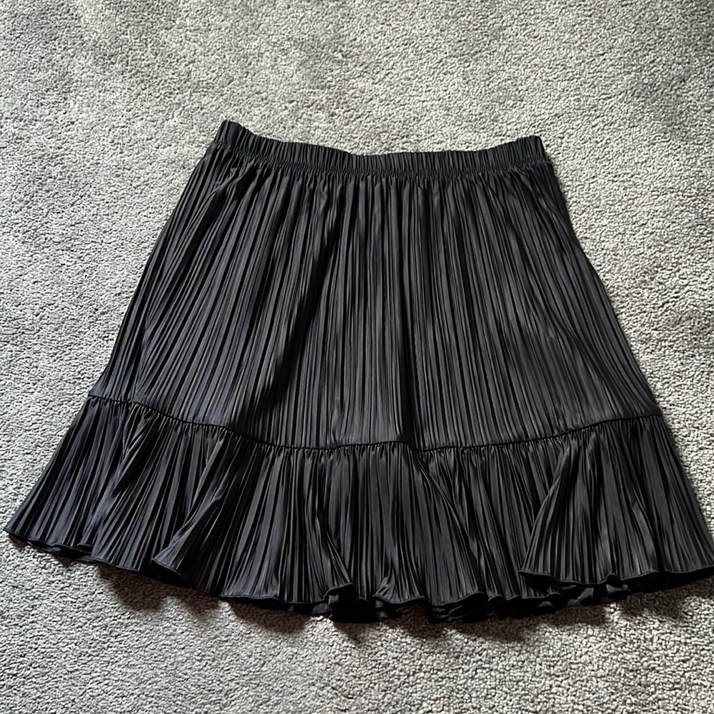 ZARA Pleated Skirt | Size Small